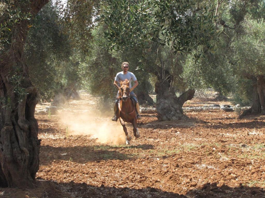 Antica Masseria Carparelli Pensionat Ostuni Exteriör bild